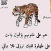 user8763721369731