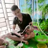 dao_viet96