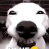 alifiandradimas3