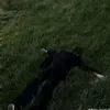 loawpbsi