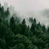 joshua_amolo