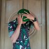 fianzl
