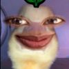 anakeci11