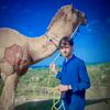 malik_.hammad_786