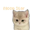 fafanotfufu