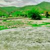 muhamad.nawaz123