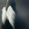 nasty_2555