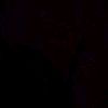 emin_1904