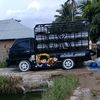 ferdi_15sa