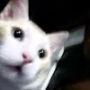 vitinho_1061