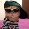 stan_4.vlada
