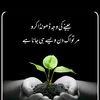 shahzadi1122king