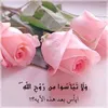 user5447561288776
