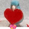 ana.maria.castill360