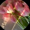 foreverflower80