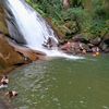 janeth_v49