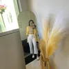 lash_elaine_alves
