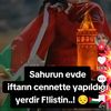 zeomustafa.salam