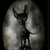 user8106161145626