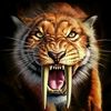 m_ainul_yaqin_anshori
