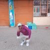 mancollo003