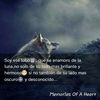 lobo.solitario.97