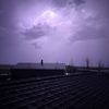 raven.d35