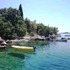 tinamiloevi