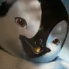 khangr