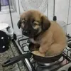 zukilovelove