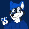chasedawolfo06