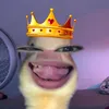 ekujuj_