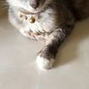 dianaputri17222