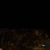 nono_2005_777
