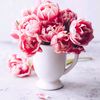 naimah_sweet