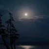 username.2920127c