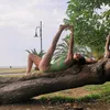 yoga_lotus_sun