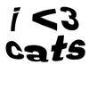 catssidy55