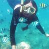 bebekuning18
