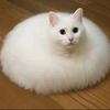 biggysiumaltor