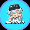 pingtodo147