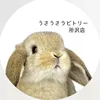 うさうさラビトリー所沢店【うさぎ専門店】