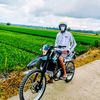 bang_den71