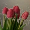 akuaa_2204
