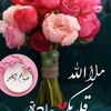 ahmed.elgarrahi.ib