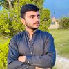 hamidarain2951