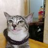 putajh05