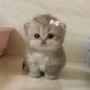 nastqwzzz_