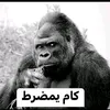 hdkfjkorjkfbvcm