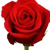 user1885516693791